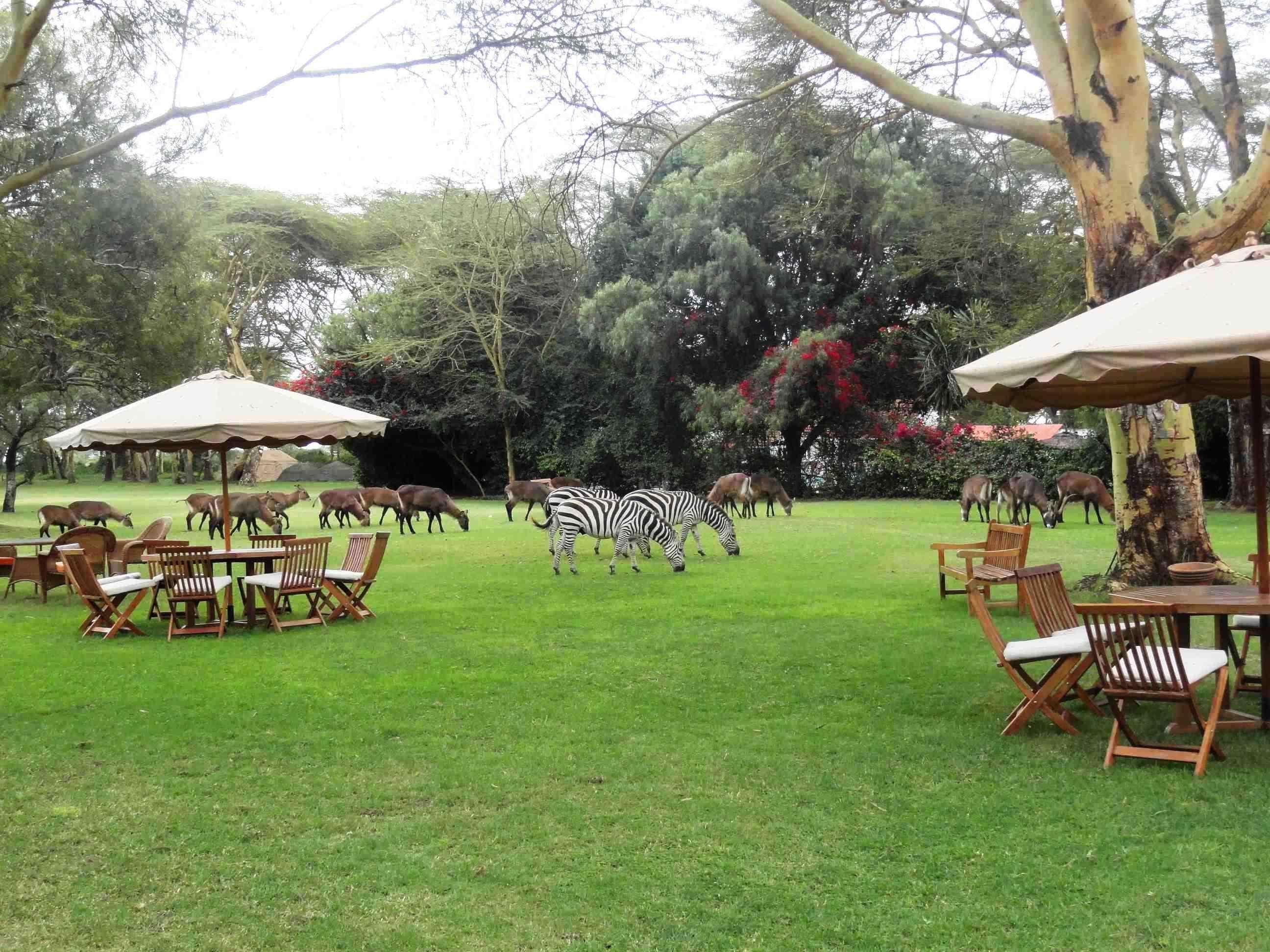 Muthu Lake Naivasha Country Club, Naivasha Karagite Exterior photo