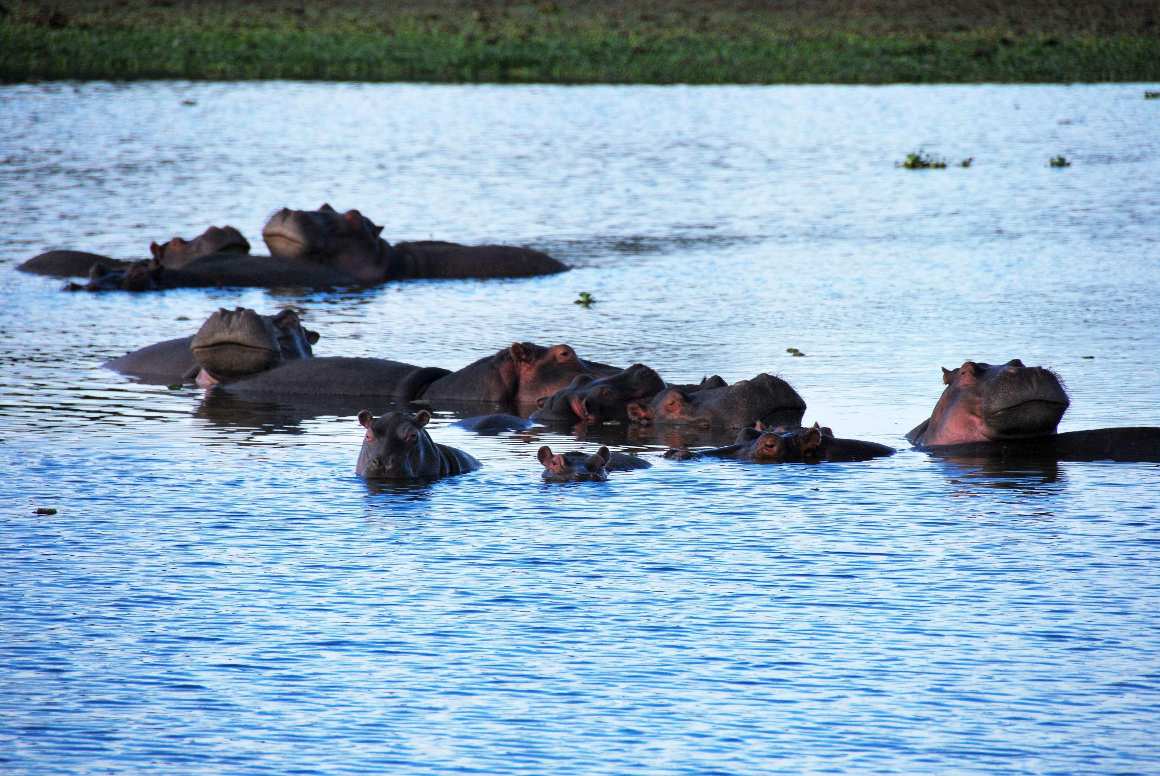 Muthu Lake Naivasha Country Club, Naivasha Karagite Exterior photo